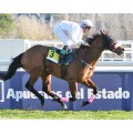 Carrera: P.Cría Nacional- (Am-Ge) | Caballo: Milagres (GB) | Monta: R.Aguilera