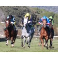 Carrera: P.Cadena SER- SULTAN EL YAGO | Caballo: Briseida | Monta: R.Montenegro