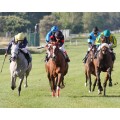 Carrera: P.NERTAL | Caballo: Wad Vison | Monta: N.de Julián