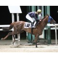 Carrera: P.Air France- G.ARCHIBALD | Caballo: Mou the Special | Monta: O.Ortiz de U.