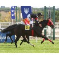 Carrera: P.Chayoye | Caballo: Mr Luxor | Monta: B.Fayos