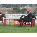 Carrera: P.Villamejor | Caballo: Arkaitz | Monta: J.L.Martínez
