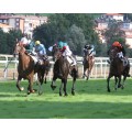 Carrera: Copa de Oro de SS. | Caballo: Scalambra | Monta: F.X.Bertras