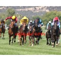 Carrera: P.Quinault | Caballo: Tafadhali