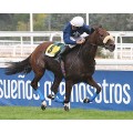 Carrera: P.Paula Elizalde (Am-Ge) Venta | Caballo: Deseado | Monta: Sr.Afonso I