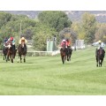 Carrera: P.Prosegur- RUBAN | Caballo: Totxo | Monta: B.Fayos