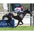 Carrera: P.Carlos Arniches | Caballo: Urgull