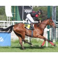 Carrera: P.Premier Galop | Caballo: Lady Dari | Monta: M.A.Narváez 