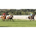 Carrera: P.Urquijo | Caballo: Totxo | Monta: R.Montenegro