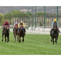 Carrera: P.Ruban | Caballo: Totxo | Monta: G.Benoist