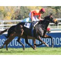 Carrera: P.Rechercche | Caballo: Argaly | Monta: B.Fayos