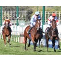 Carrera: P.Dunhill (Amazonas-Gentelmen) | Caballo: Cape Bosco | Monta: Sr.Escario J.I.