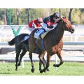 Carrera: P.Suances | Caballo: Mr Axel