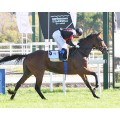 Carrera: P.Suances | Caballo: Mr Axel