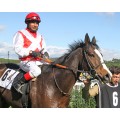 Carrera: P.El Señor | Caballo: Miliki (GB)