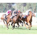 Carrera: P.Casualidad | Caballo: Sweet Sue