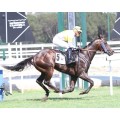 Carrera: P.Jose Antonio Borrego | Caballo: Viento Sur | Monta: J.L.Martínez