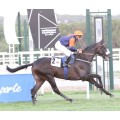 Carrera: P.Caporal Gran Handicap de Primavera | Caballo: Intaglio | Monta: R.Montenegro