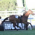 Carrera: P.Hebercourt | Caballo: Half a Billion | Monta: Sr.Laborde P.