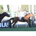 Carrera: P.Hebercourt | Caballo: Half a Billion | Monta: Sr.Laborde P.