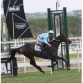 Carrera: G.P DE LA HISPANIDAD | Caballo: Almorox | Monta: J.Auge