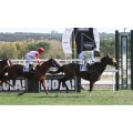 Carrera: P.Nimbo | Caballo: Lee Bay | Monta: R.Sousa