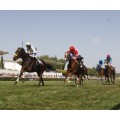 Carrera: P.Nimbo | Caballo: Lee Bay | Monta: R.Sousa