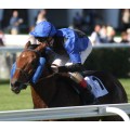 Carrera: P.Dunhill | Caballo: Le Blue et Noir