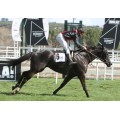 Carrera: P.Francisco Jaquotot | Caballo: Ivan El Terrible