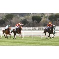 Carrera: P.Bannaby | Caballo: Intaglio | Monta: C.Cadel