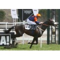 Carrera: P.Bannaby | Caballo: Intaglio | Monta: C.Cadel