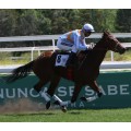 Carrera: P.Jose Luis de Salas | Caballo: Bessie Warfield