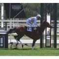 Carrera: P.Jose Luis de Salas | Caballo: Bessie Warfield