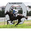 Carrera: P.Equinoccio Viajes | Caballo: Bahia Canarias | Monta: V.Janacek