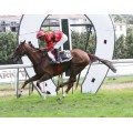Carrera: P.El Diario Vasco | Caballo: Lady Lola | Monta: R.Sousa