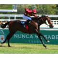 Carrera: P.Young Tiger | Caballo: Noray | Monta: R.Sousa