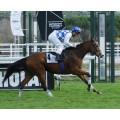 Carrera: P.Sultan el Yago | Caballo: New Empire