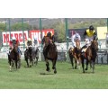 Carrera: P.Luis Urbano | Caballo: Doctor Oscar | Monta: Sr.Pineda G.