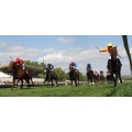 Carrera: G.P de la Hispanidad | Caballo: Oriental | Monta: B.Fayos