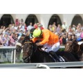 Carrera: G.P de la Hispanidad | Caballo: Oriental | Monta: B.Fayos