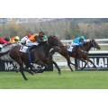 Carrera: P.Infanta Beatriz | Caballo: Doctor Oscar | Monta: V.Janacek