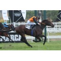 Carrera: P.Infanta Beatriz | Caballo: Doctor Oscar | Monta: V.Janacek