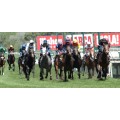 Carrera: G.P Cimera Poule de Potros | Caballo: Einar | Monta: T.Piccone