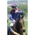 Carrera: G.P Cimera Poule de Potros | Caballo: Einar | Monta: T.Piccone