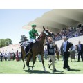 Carrera: G.P.Beamonte Oaks | Caballo: Virka | Monta: E.Corallo