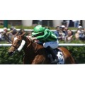 Carrera: G.P.Beamonte Oaks | Caballo: Virka | Monta: E.Corallo
