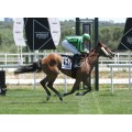 Carrera: G.P.Beamonte Oaks | Caballo: Virka | Monta: E.Corallo