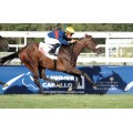 Carrera: P.Martorell | Caballo: Rosy Moon