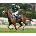 Carrera: P.Tattersalls | Caballo: Royal Dancer