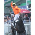 Carrera: P Gobierno Vasco | Caballo: Oriental | Monta: B.Fayos